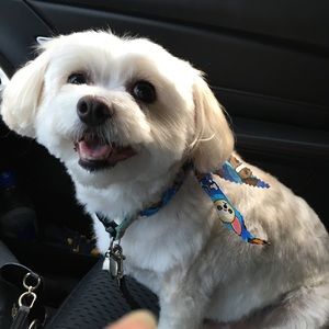 Meet your Posher, Kathleen